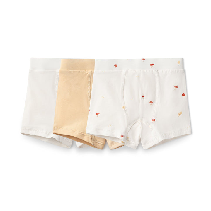 Boy's Shorts Set